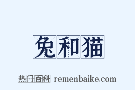 兔和猫是什么意思的图片